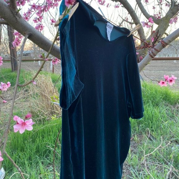 Koret Velvet Top - Picture 4 of 4